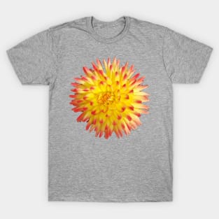 Yellow and Pink Dahlia Flower T-Shirt